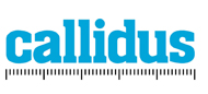 Callidus Surveys