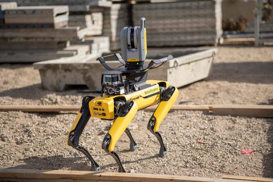 BCFS__Image__Spot__0126__High_Resolution